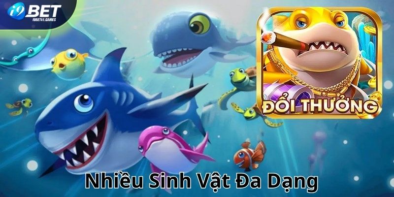 Nhiều sinh vật đa dạng tại bắn cá H5